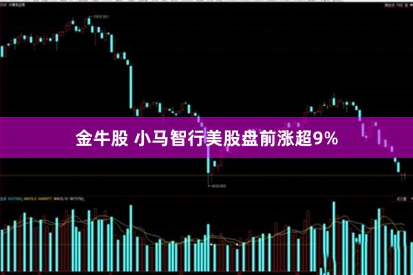 金牛股 小马智行美股盘前涨超9%