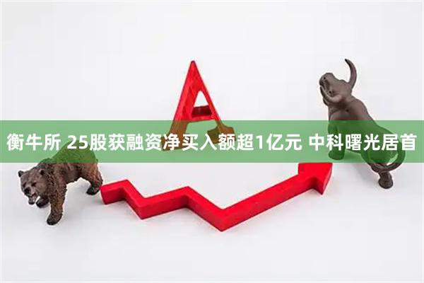 衡牛所 25股获融资净买入额超1亿元 中科曙光居首