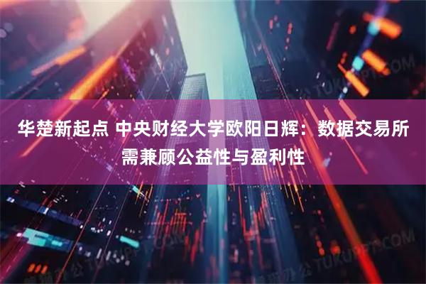 华楚新起点 中央财经大学欧阳日辉:数据交易所需兼顾公益性与盈利性