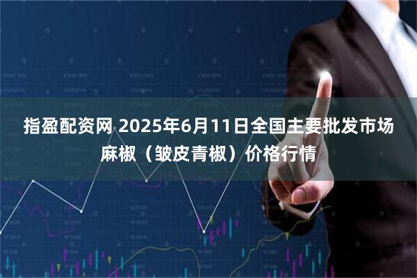指盈配资网 2025年6月11日全国主要批发市场麻椒（皱皮青椒）价格行情